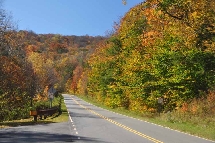 road scene